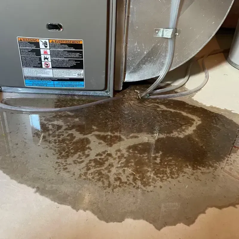 Appliance Leak Cleanup in Pawnee, OK